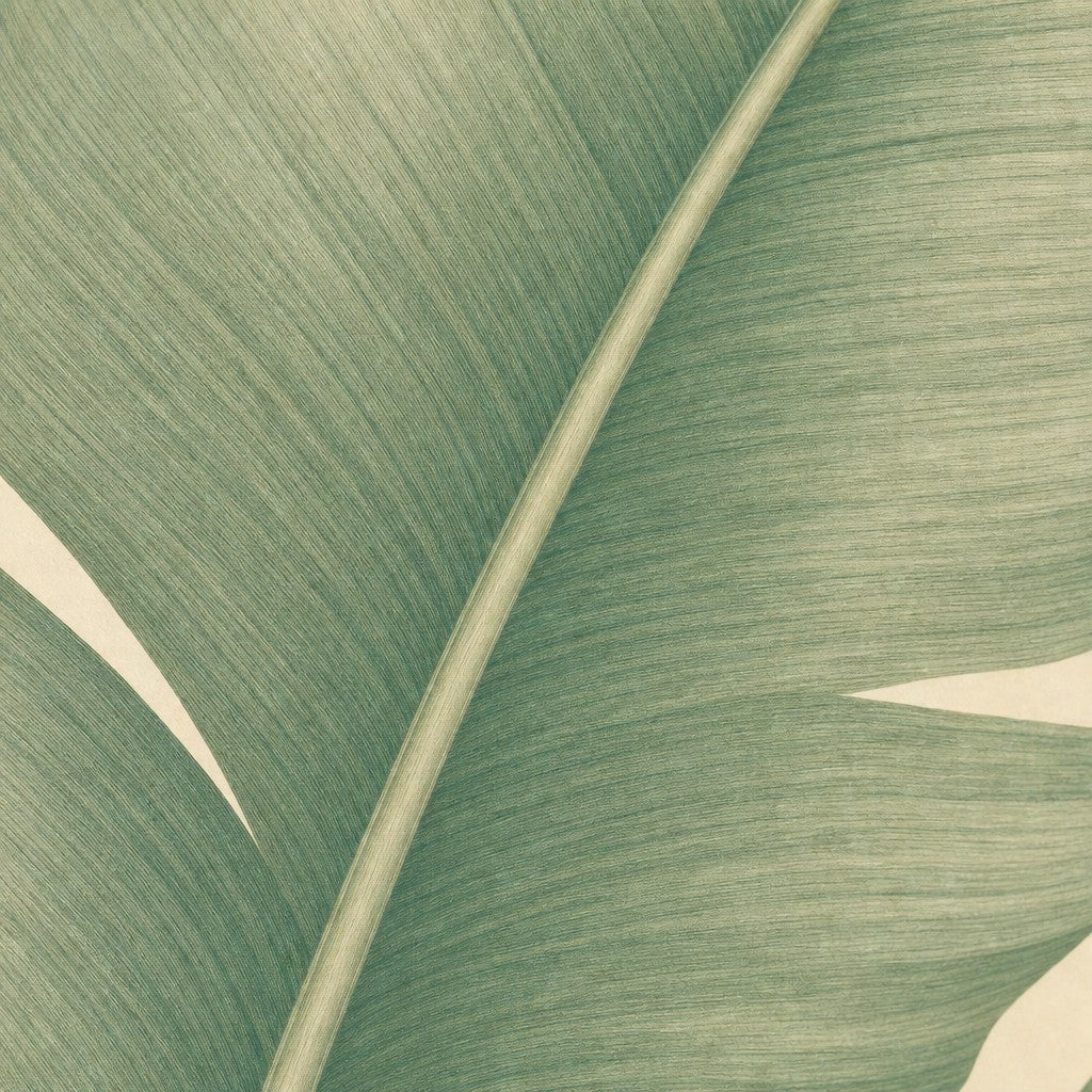 Sage Banana Leaf Wallpaper Mural product view