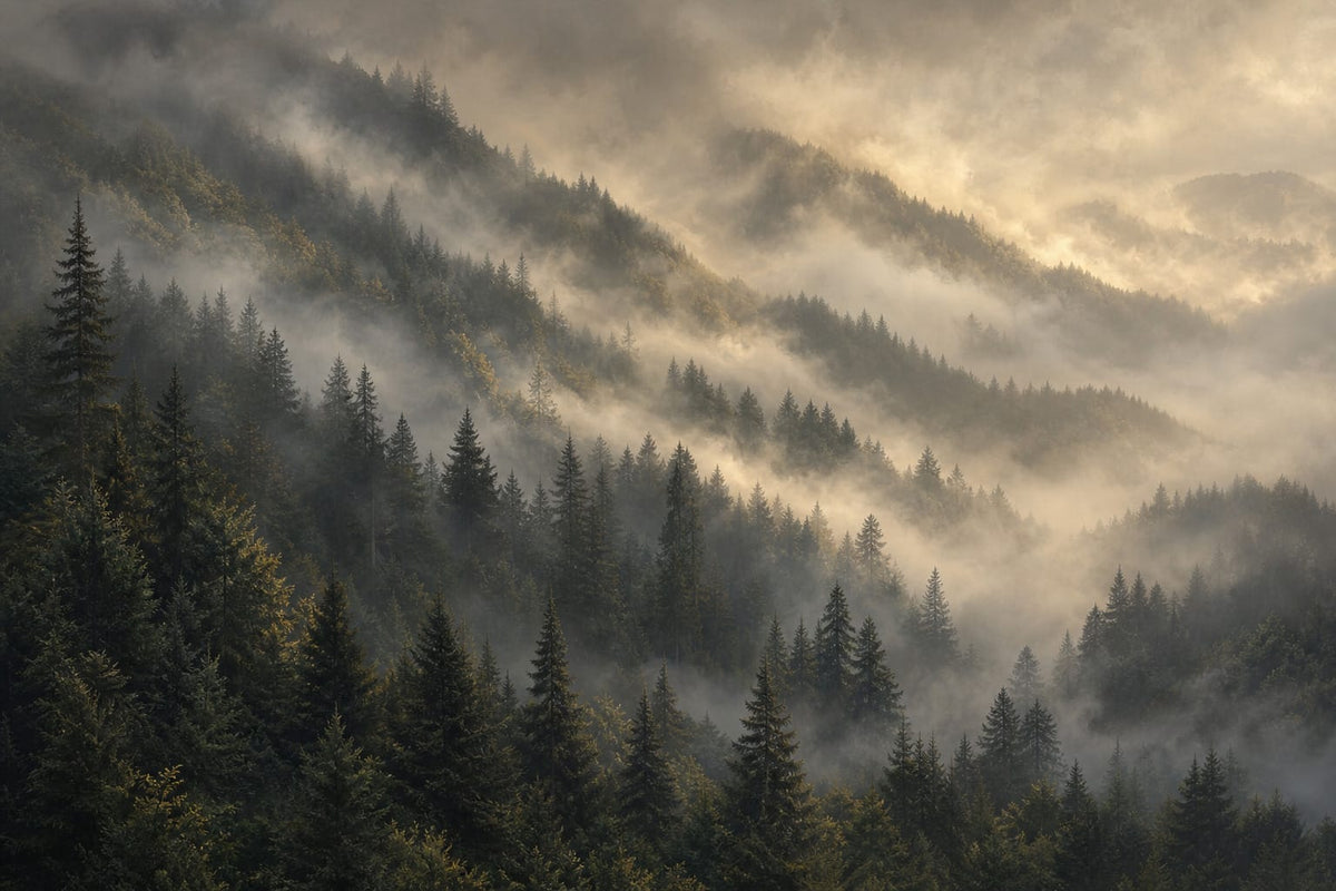 Sage Deep Fog Wallpaper Mural product view
