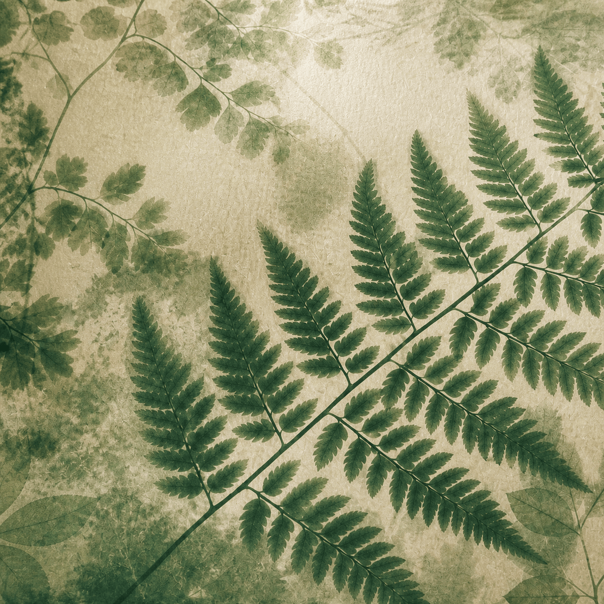 Sage Fern Wallpaper Mural product view