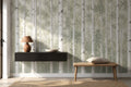 Sage Northern Wallpaper Mural