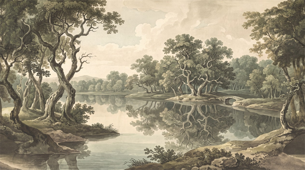 Olive Woodland Lakeside Mirror Wallpaper Mural
