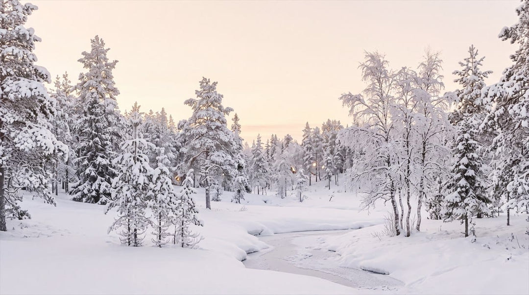 Silver Tan Frosted Nordic Winter Forest Wallpaper Mural in tan