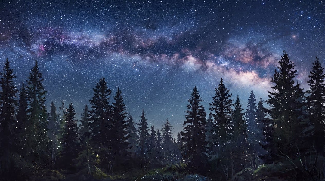 Navy Ink Dreamy Nordic Night Forest Wallpaper Mural in winter