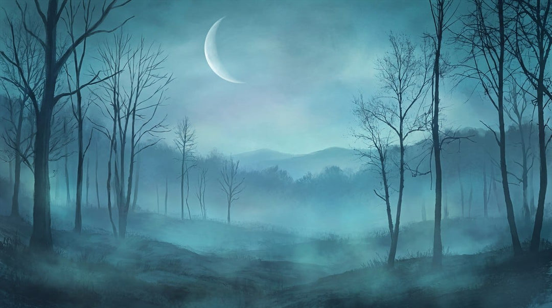 Deep Sky Mysterious Nordic Night Forest Wallpaper Mural in winter