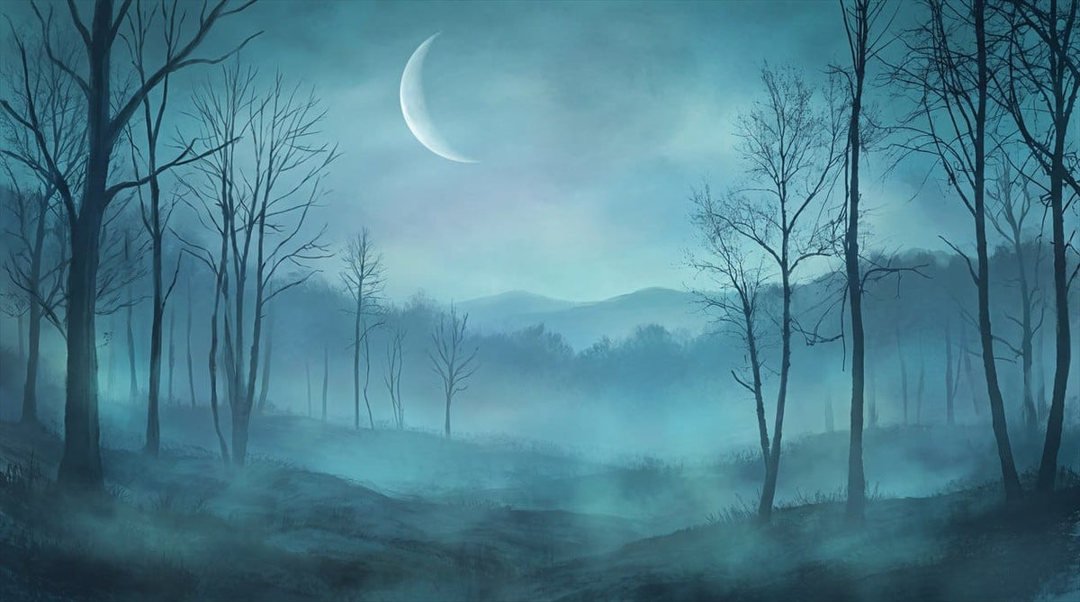 Deep Sky Mysterious Nordic Night Forest Wallpaper Mural in winter
