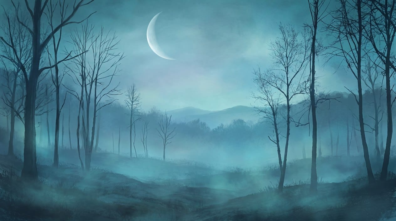 Deep Sky Mysterious Nordic Night Forest Wallpaper Mural