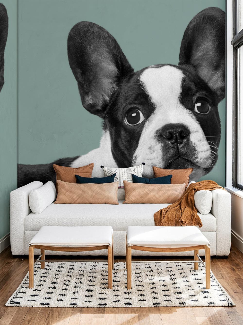 French Bulldog wallpaper in a modern living room, white sofa, wooden flooring, geometric rug design.