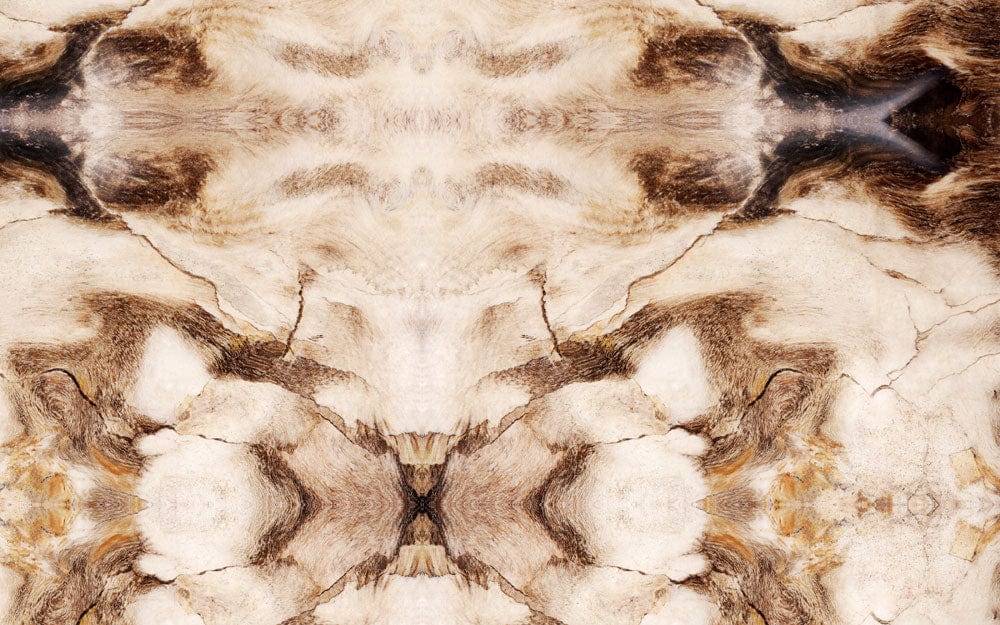 Textured Earth Tones Abstract Stone Pattern Mural Wallpaper - Natural Elegance