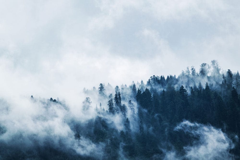 Misty Forest Landscape Mural Wallpaper - Moody Blue Nature Decor