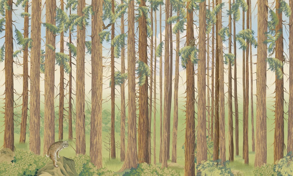 Tranquil Forest Woodland Mural Wallpaper in Natural Green and Brown Tones