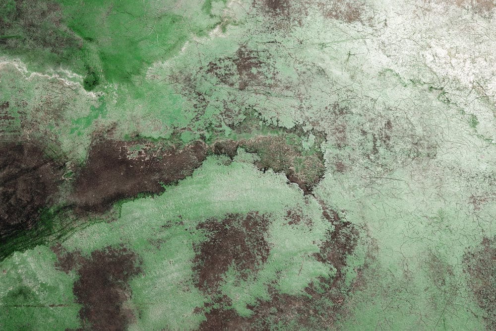 Emerald Green and Earthy Brown Abstract Texture Mural Wallpaper Design
