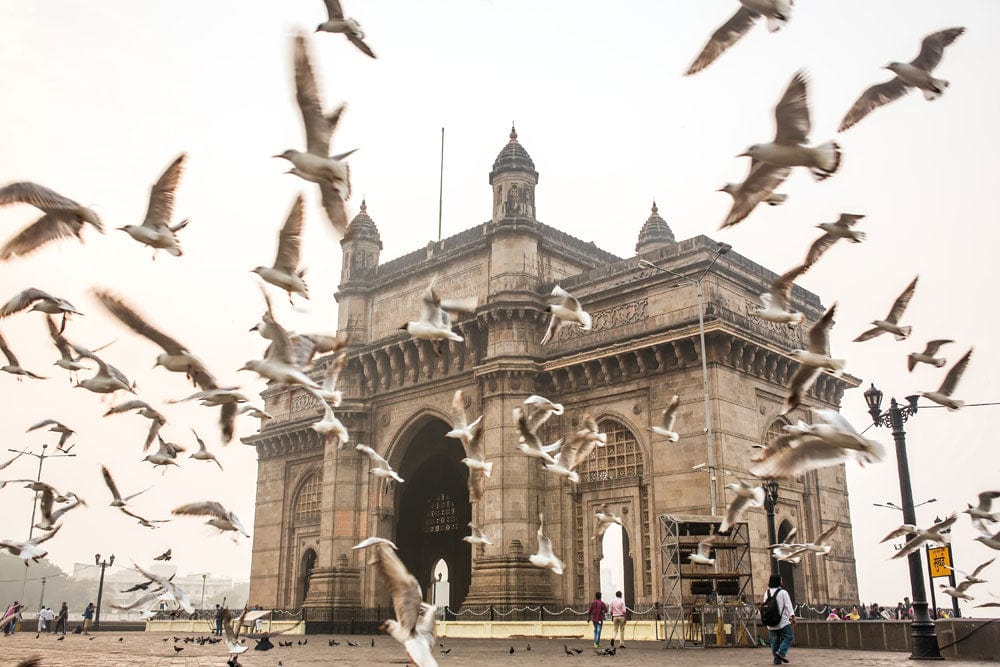 Vintage Gateway of India Mural Wallpaper with Soaring Birds in Beige Tones