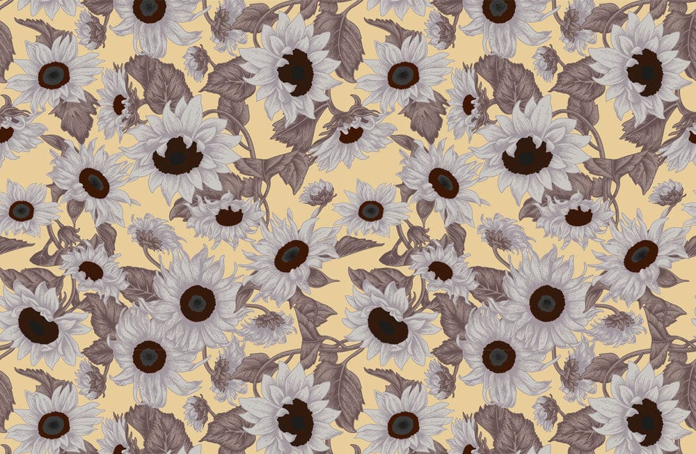 Grey Daisies Wallpaper Mural