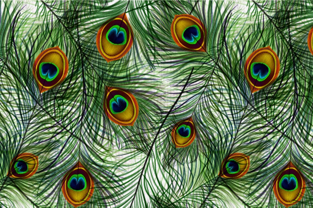 Exotic Green Peacock Feather Pattern Wallpaper - Vibrant Ornamental Design Decor