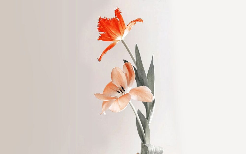 Elegant Orange Tulip Floral Mural Wallpaper - Modern Botanical Design