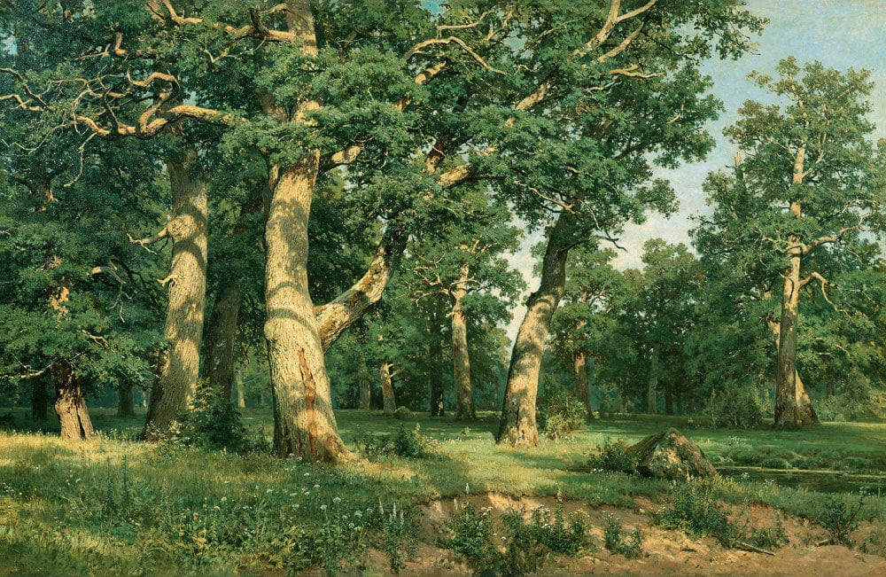 Timeless Oak Forest Scene Mural Wallpaper in Lush Green Landscape