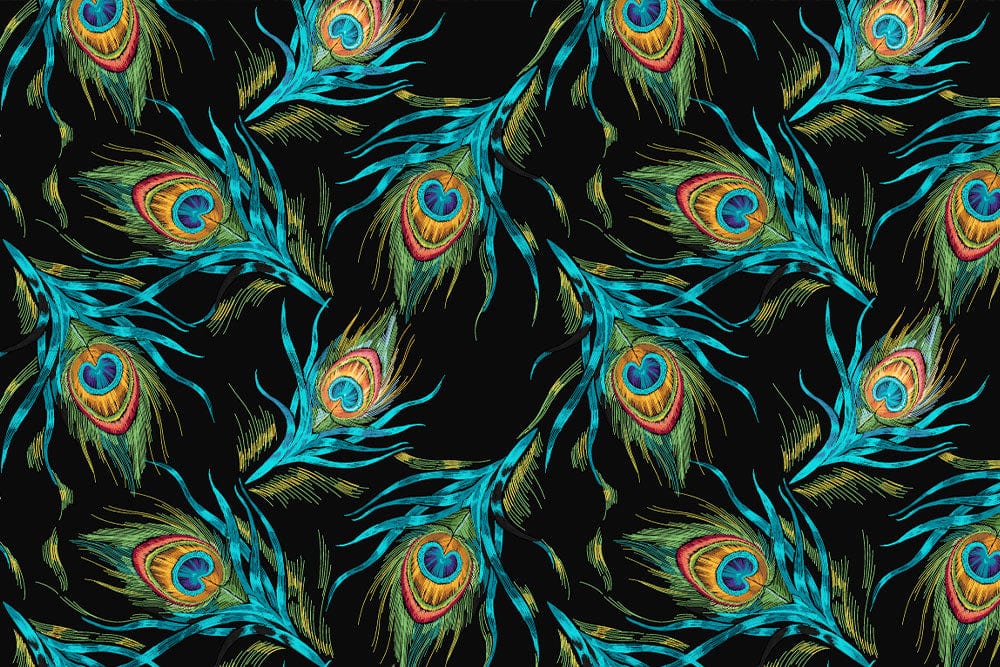 Peacock Feather in Dark Wallpaper Mural