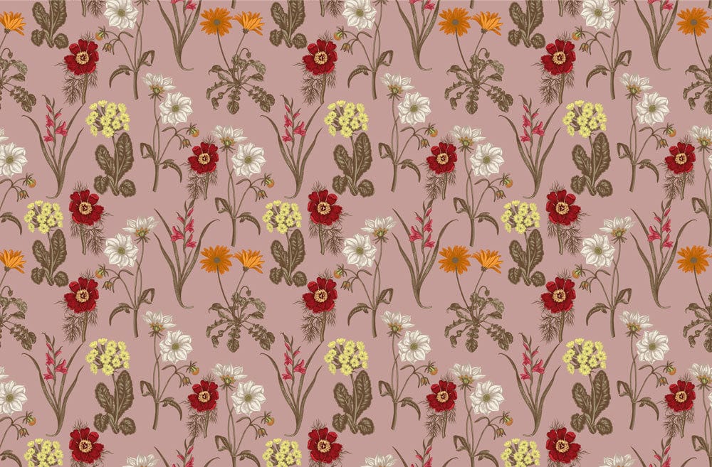 Pink Field Flowers Wallpaper Mural