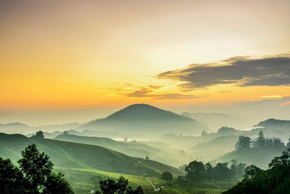 Serene Sunrise Misty Mountain Landscape Mural Wallpaper - Tranquil Nature Decor