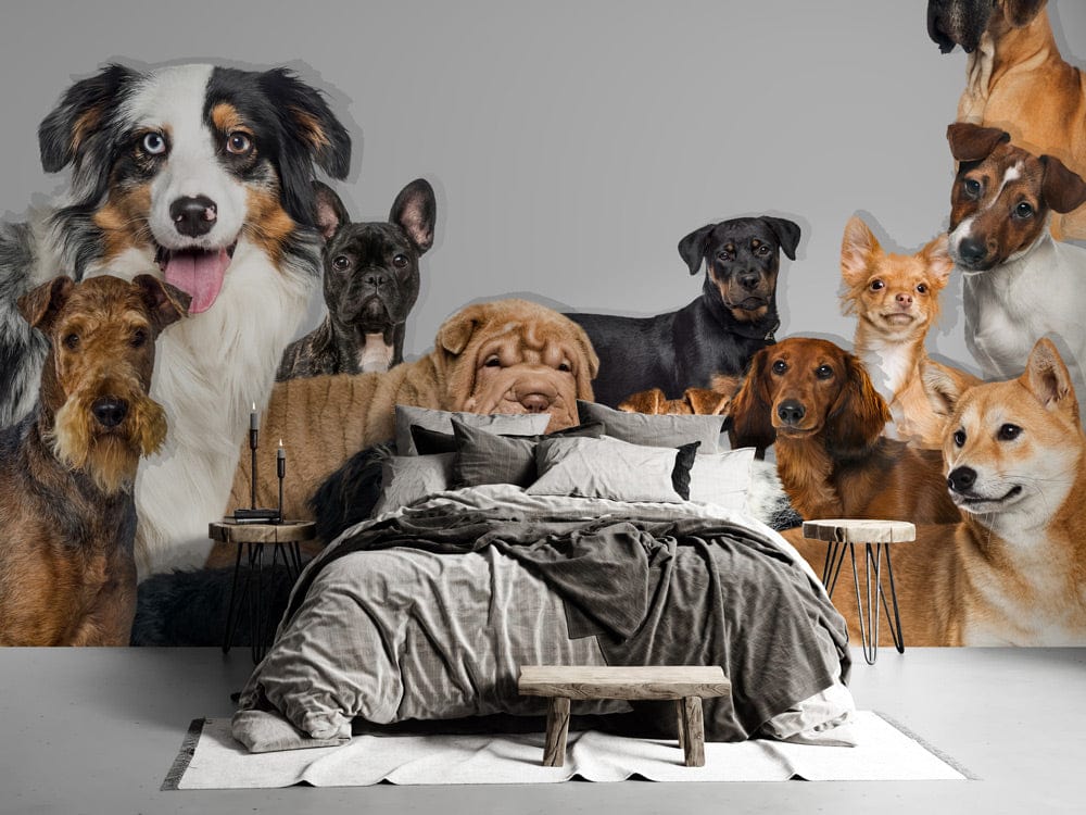 Charming Canine Paradise Grey Dog Mural, lifelike pets, neutral room, contemporary bed, grey bedding.