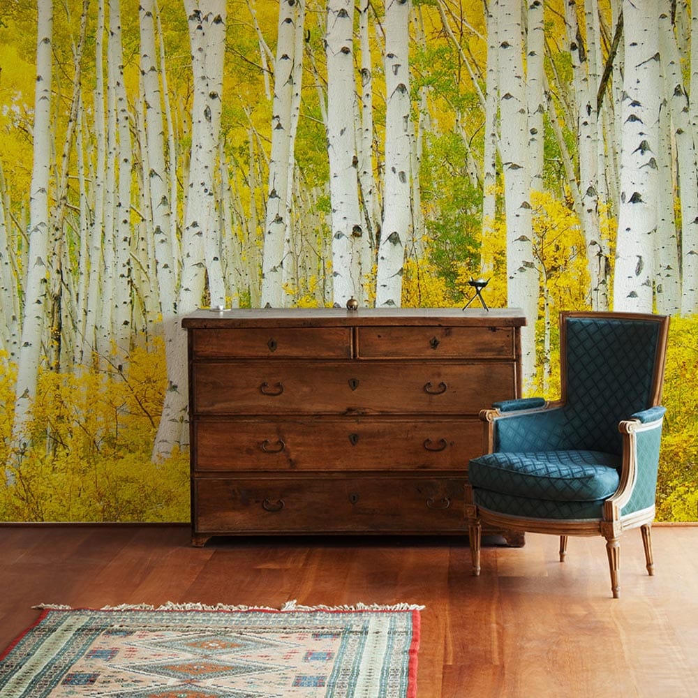 Golden birch forest mural wallpaper in living room with classic wooden dresser, blue chair, wooden flooring.