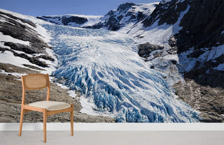 Melting Snow Wallpaper Mural