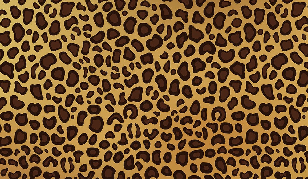 Luxury Leopard Print Wallpaper - Exotic Brown Patterned Interior Design