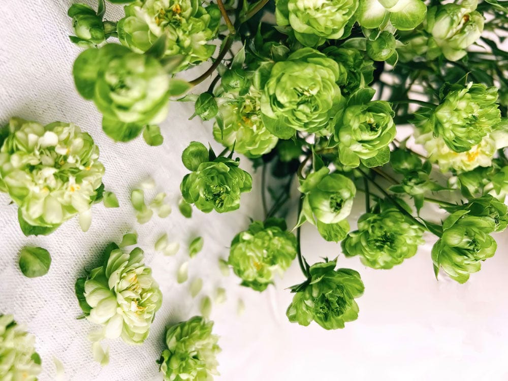 Elegant Green Floral Pattern Wallpaper - Fresh Botanical Style Décor Upgrade