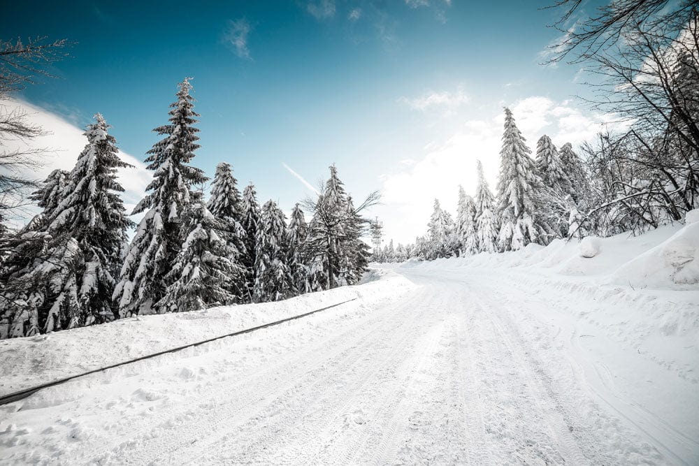 Winter Wonderland Snowy Forest Scenic Mural Wallpaper - Blue Sky Elegance
