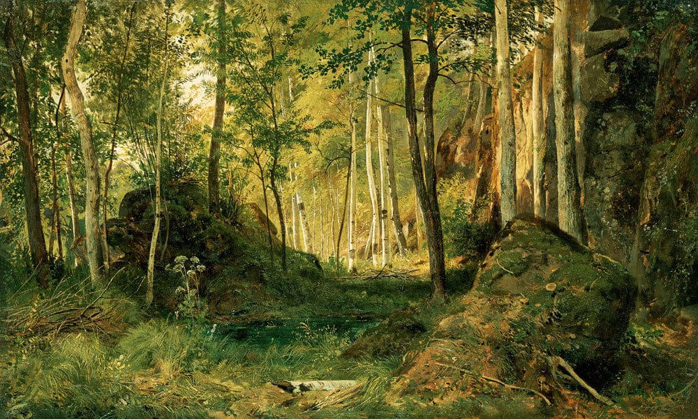 Serene Birch Forest Mural Wallpaper in Lush Green Landscape Style