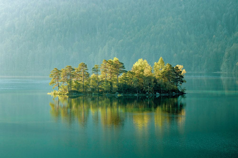 Idyllic Forest Island Lake Mural Wallpaper in Tranquil Green Landscape Design