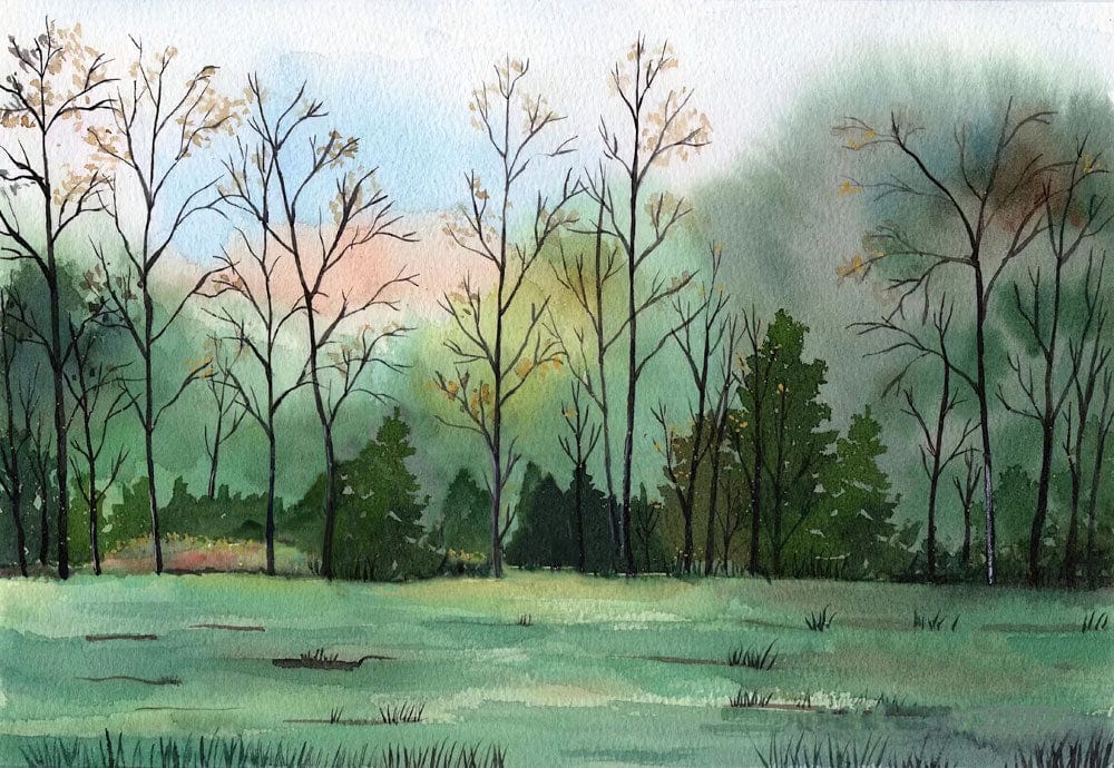 Tranquil Woodland Watercolour Mural Wallpaper in Soft Pastel Hues
