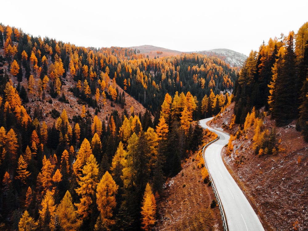 Winding Road Wallpaper Mural
