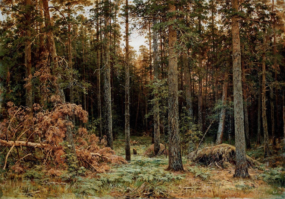 Enchanted Forest Rustic Woodland Mural Wallpaper in Earthy Greens and Browns