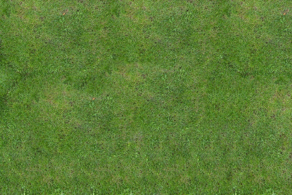 Natural Green Grass Texture Mural Wallpaper for Serene Outdoor Ambiance