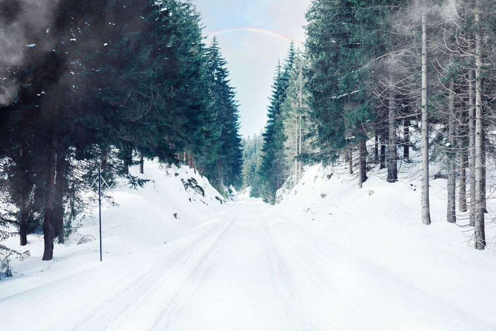 Serene Winter Forest Road Mural Wallpaper - Scenic Snowy Landscape Design