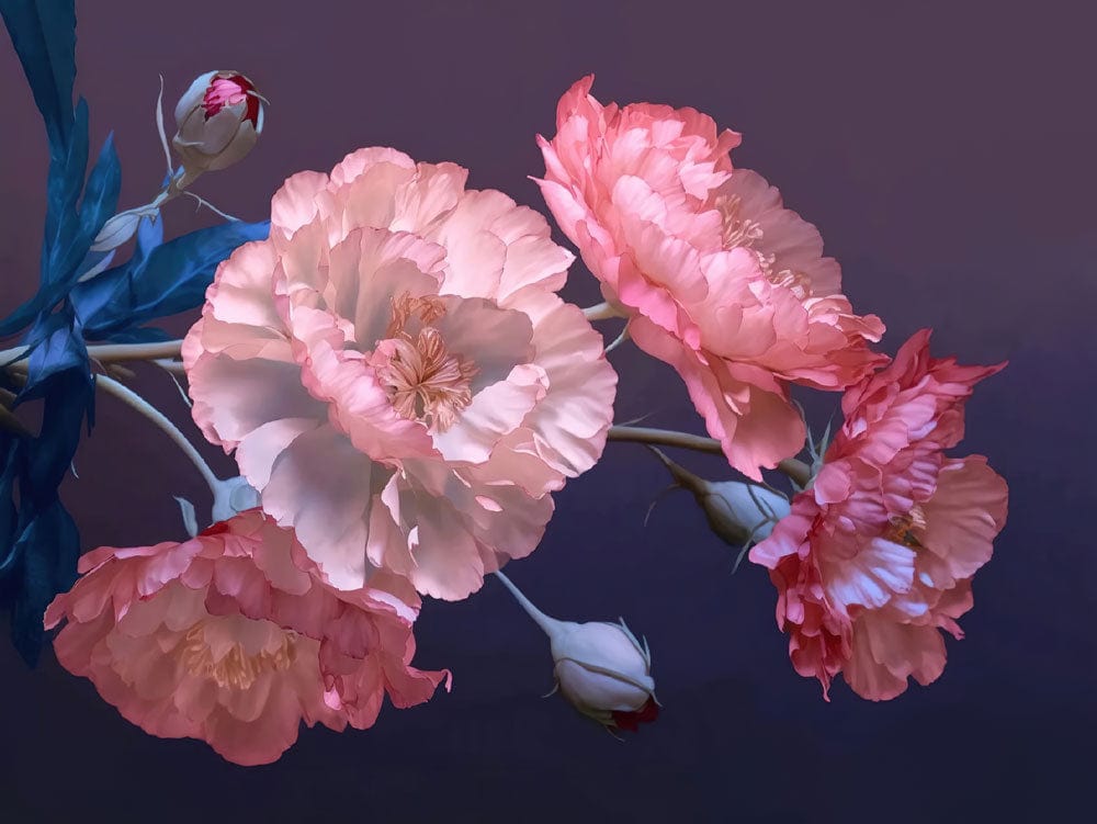 Elegant Pink Peony Blossom Mural Wallpaper - Romantic Floral Design Background