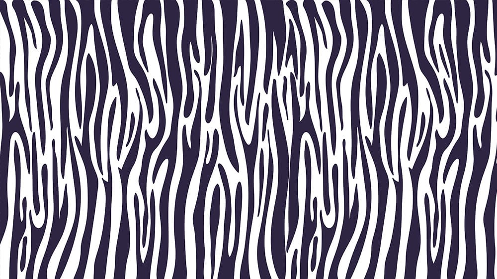 Monochrome Animal Print Striped Zebra Pattern Modern Wallpaper Design