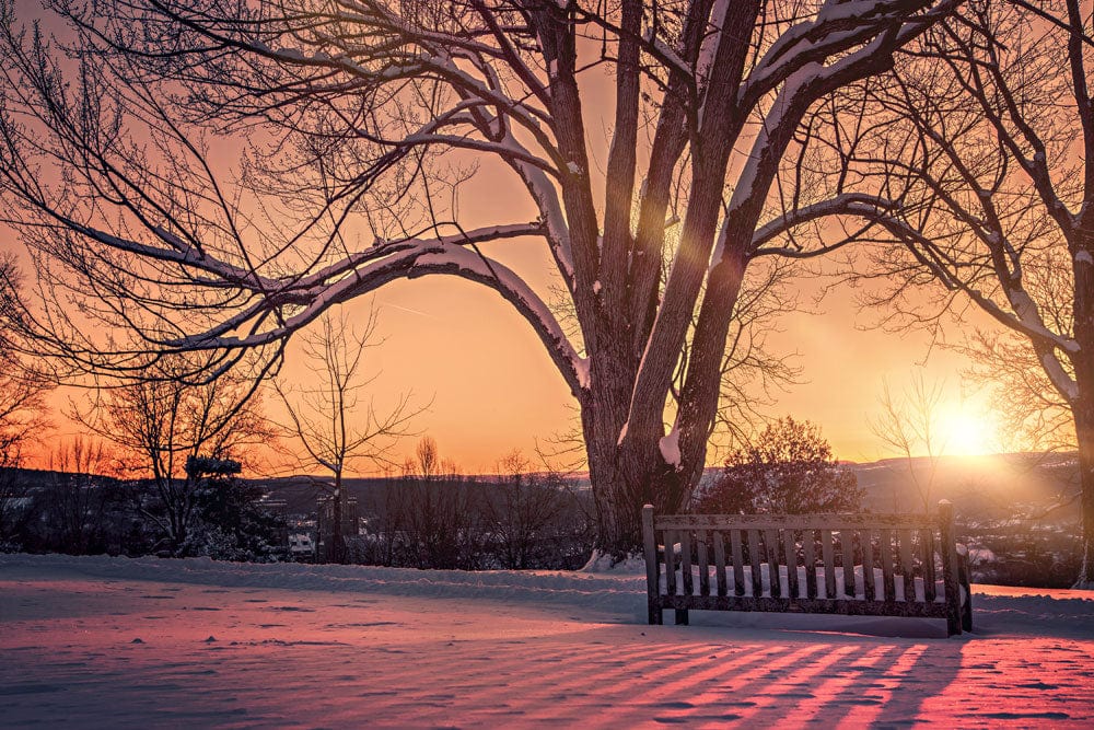 Serene Winter Sunset Mural Wallpaper with Snowy Landscape and Warm Hues