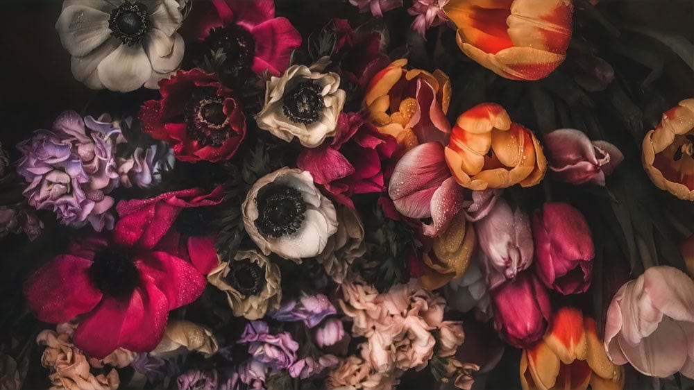 Elegant Dark Floral Blooms Wallpaper in Rich Multicolour Botanical Design