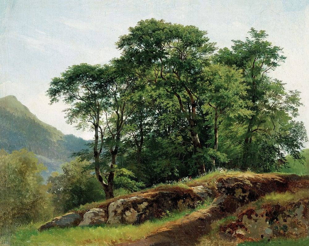 Tranquil Green Forest Landscape Mural Wallpaper: Nature-Inspired Scenic Design