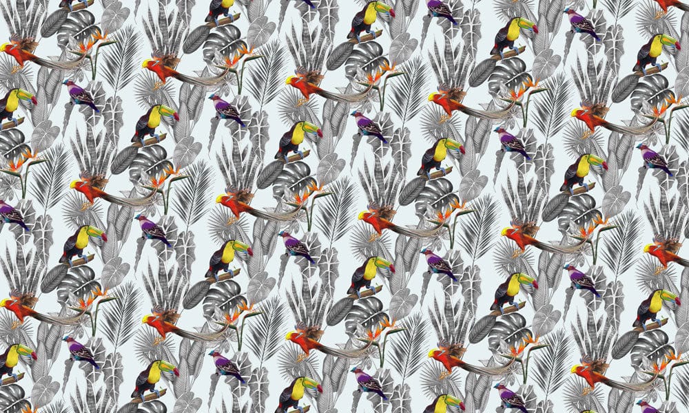 Parrot Life Wallpaper Mural