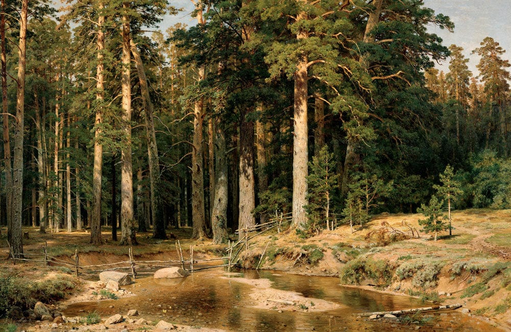 Tranquil Forest Stream Mural Wallpaper in Earthy Tones for Serene Spaces