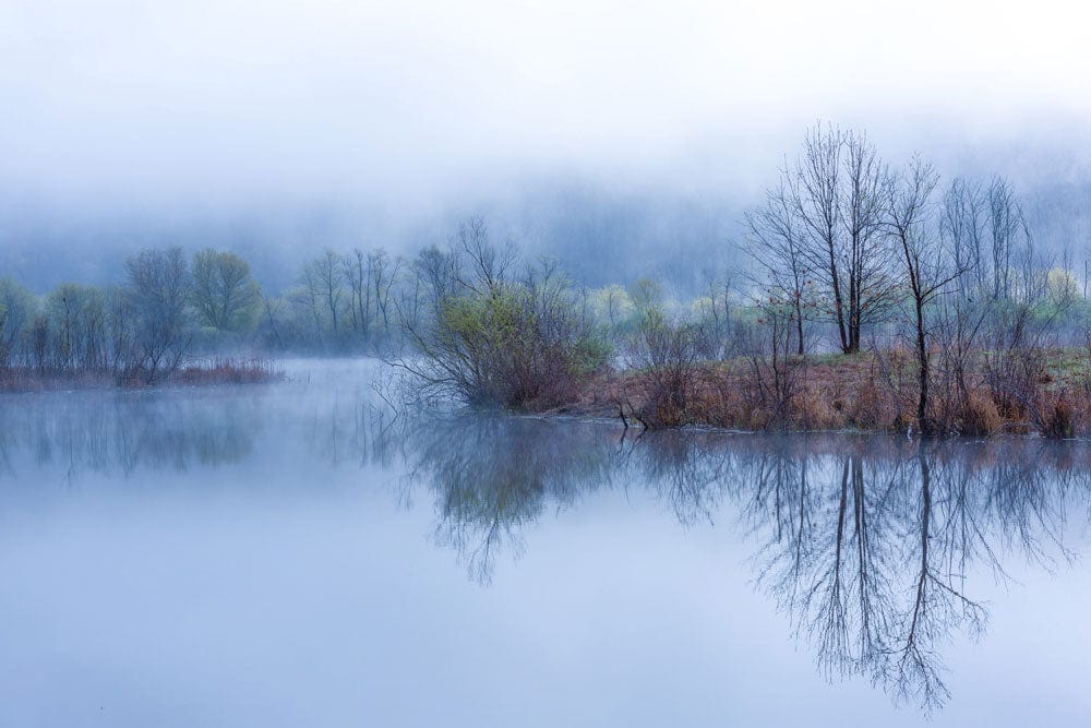 Misty Blue Tranquil Lakeside Scenic Landscape Mural Wallpaper - Nature Inspired Decor
