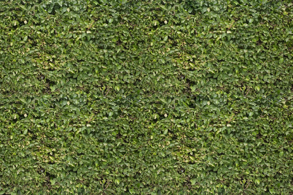 Verdant Green Foliage Landscape Repeated Pattern Wallpaper - Nature Inspired Décor