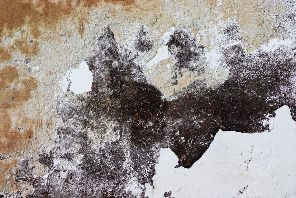 Vintage Rustic Textured Mural Wallpaper, Earthy Browns and Whites Pattern