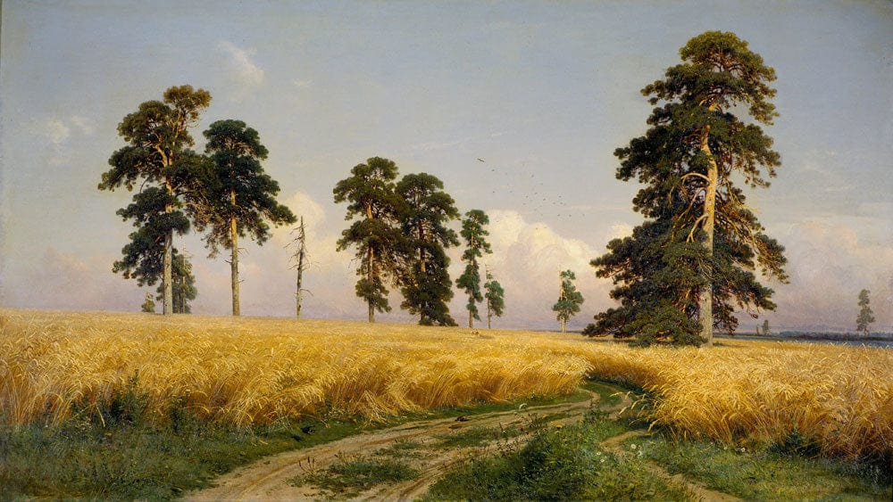 Tranquil Countryside Mural Wallpaper: Golden Fields and Verdant Pines Scene