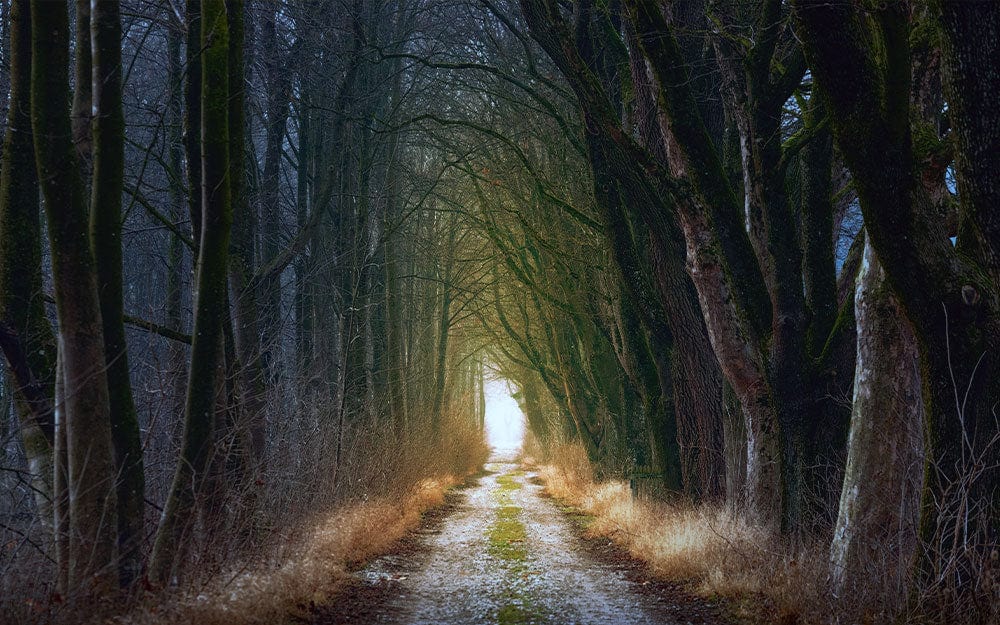 Path To Far Away Wallpaper Mural