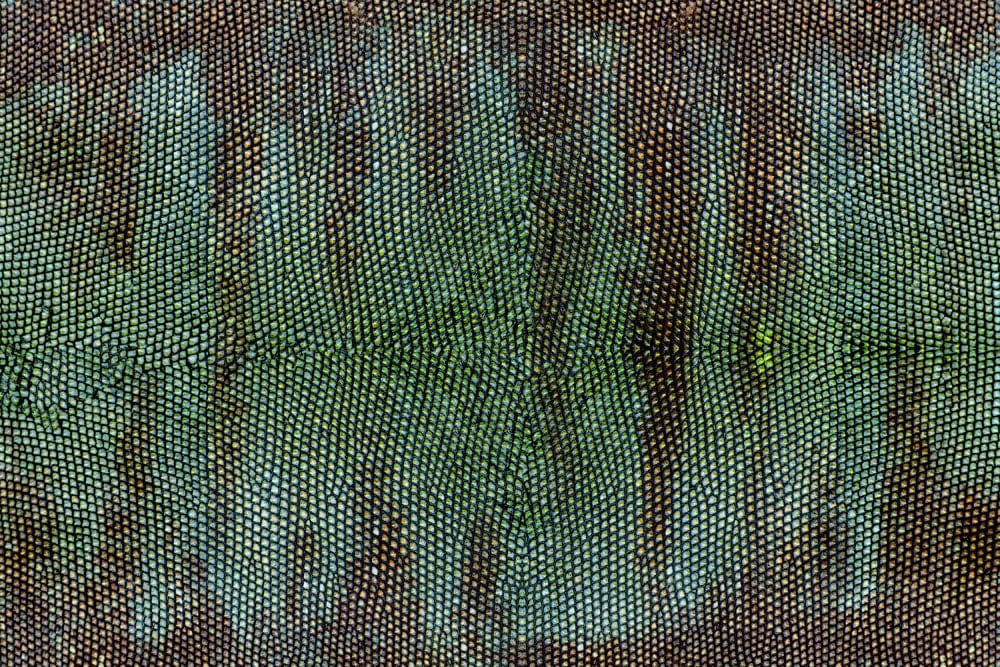 Rustic Green Textured Pattern Wallpaper with Distinct Repeating Nature Design