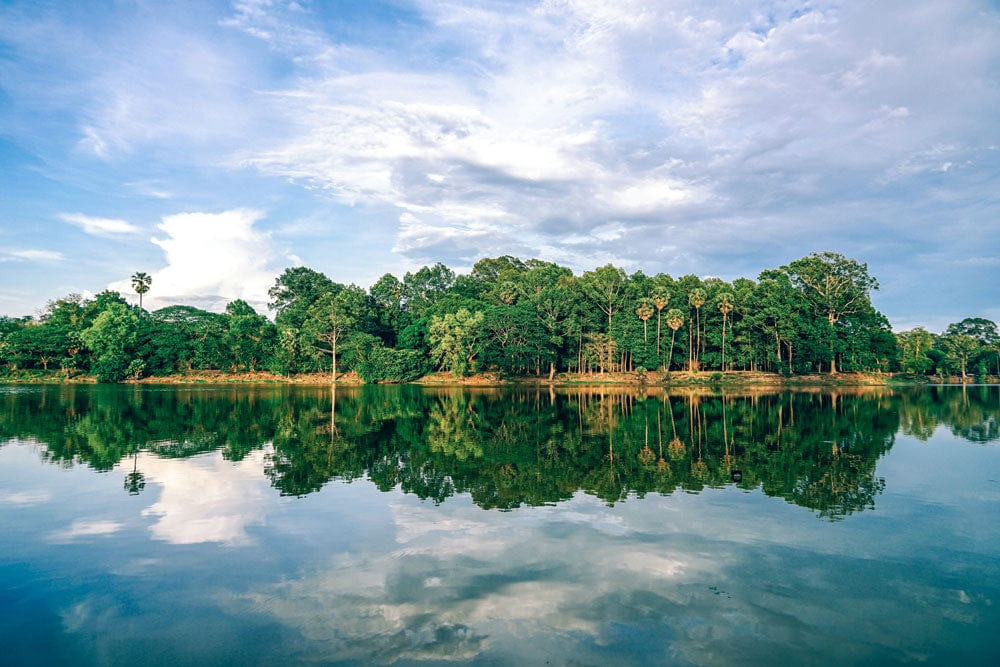 Serene Lakeside Forest Landscape Mural Wallpaper in Green and Blue Tones